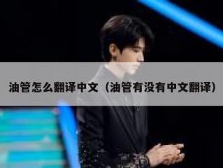 油管怎么翻译中文（油管有没有中文翻译）