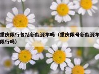 重庆限行包括新能源车吗（重庆限号新能源车限行吗）