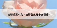 油管设置中文（油管怎么开中文翻译）