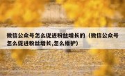 微信公众号怎么促进粉丝增长的（微信公众号怎么促进粉丝增长,怎么维护）