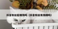 抖音粉丝能赚钱吗（抖音粉丝有钱赚吗）