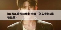 ins怎么看粉丝增长明细（怎么看ins涨粉数量）