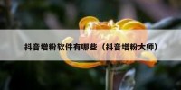 抖音增粉软件有哪些（抖音增粉大师）