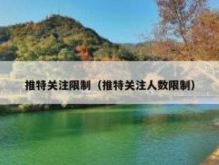 推特关注限制（推特关注人数限制）