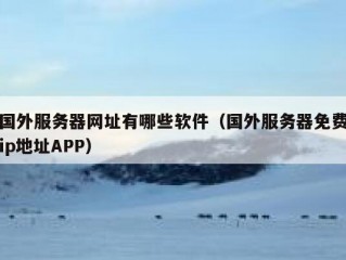 国外服务器网址有哪些软件（国外服务器免费ip地址APP）
