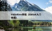 tiktokios教程（tiktok入门教程）