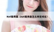 Nat服务器（nat服务器怎么绑定域名）