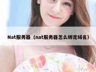 Nat服务器（nat服务器怎么绑定域名）