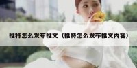 推特怎么发布推文（推特怎么发布推文内容）