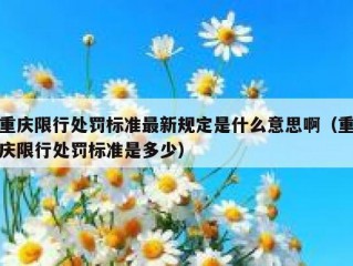 重庆限行处罚标准最新规定是什么意思啊（重庆限行处罚标准是多少）