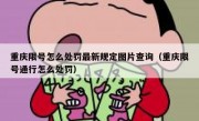 重庆限号怎么处罚最新规定图片查询（重庆限号通行怎么处罚）