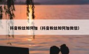 抖音粉丝如何加（抖音粉丝如何加微信）