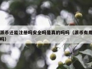 派币还能注册吗安全吗是真的吗吗（派币有用吗）