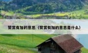 赞赏有加的意思（赞赏有加的意思是什么）