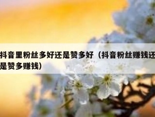 抖音里粉丝多好还是赞多好（抖音粉丝赚钱还是赞多赚钱）