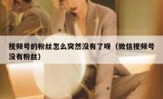 视频号的粉丝怎么突然没有了呀（微信视频号没有粉丝）