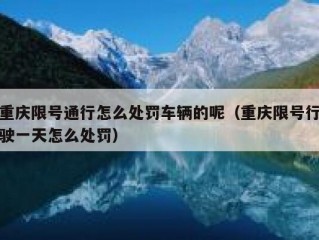 重庆限号通行怎么处罚车辆的呢（重庆限号行驶一天怎么处罚）