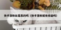 快手涨粉丝是真的吗（快手涨粉就有收益吗）