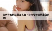 公众号的粉丝量怎么查（公众号粉丝数量怎么查）