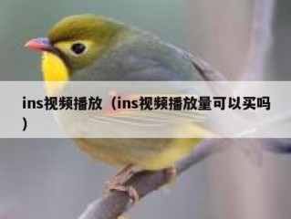 ins视频播放（ins视频播放量可以买吗）