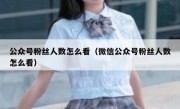 公众号粉丝人数怎么看（微信公众号粉丝人数怎么看）