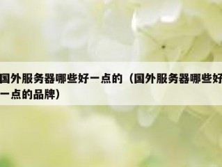 国外服务器哪些好一点的（国外服务器哪些好一点的品牌）