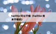 twitter可以干嘛（twitter用来干嘛的）