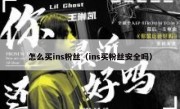怎么买ins粉丝（ins买粉丝安全吗）