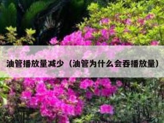 油管播放量减少（油管为什么会吞播放量）