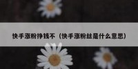 快手涨粉挣钱不（快手涨粉丝是什么意思）