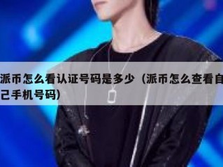 派币怎么看认证号码是多少（派币怎么查看自己手机号码）
