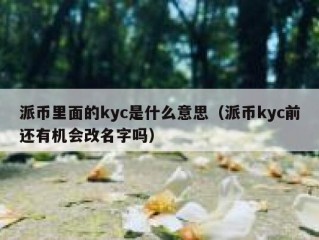 派币里面的kyc是什么意思（派币kyc前还有机会改名字吗）