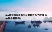 ins账号购买自助平台微信付不了款吗（ins账号要钱吗）