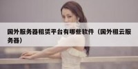 国外服务器租赁平台有哪些软件（国外租云服务器）