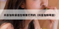 抖音加粉渠道在哪里打开的（抖音加粉项目）