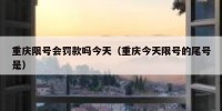 重庆限号会罚款吗今天（重庆今天限号的尾号是）