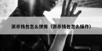 派币钱包怎么使用（派币钱包怎么操作）