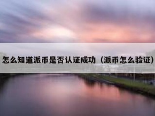 怎么知道派币是否认证成功（派币怎么验证）