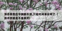 派币真假在中国都不清,只能时间来证明了（派币到底是不是真的）
