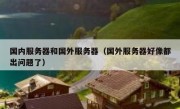 国内服务器和国外服务器（国外服务器好像都出问题了）