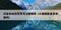 抖音粉丝和获赞可以赚钱吗（小规模都是零申报吗）