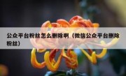 公众平台粉丝怎么删除啊（微信公众平台删除粉丝）