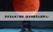 派币怎么样了视频（派币到底怎么回事儿）