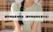 国外网站查询域名（国外网站域名是什么）