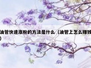 油管快速涨粉的方法是什么（油管上怎么赚钱）