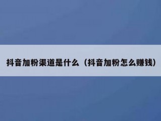 抖音加粉渠道是什么（抖音加粉怎么赚钱）