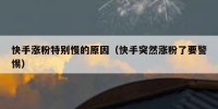 快手涨粉特别慢的原因（快手突然涨粉了要警惕）