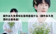 国外永久免费域名服务器是什么（国外永久免费的云服务器）