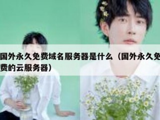 国外永久免费域名服务器是什么（国外永久免费的云服务器）