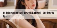 抖音加粉丝赚钱吗安全吗是真的吗（抖音粉加加）